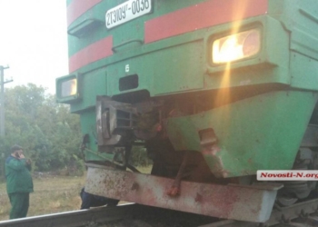 На Николаевщине скорый поезд «Херсон-Харьков» сбил корову и остановился