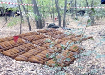 Вот так «клад»: на Николаевщине обнаружили почти 200 старых минометных мин