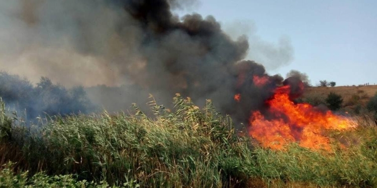 Пришлось даже останавливать движение на трассе – на Николаевщине пожарные потушили масштабный пожар сухой травы в курортной зоне Коблево