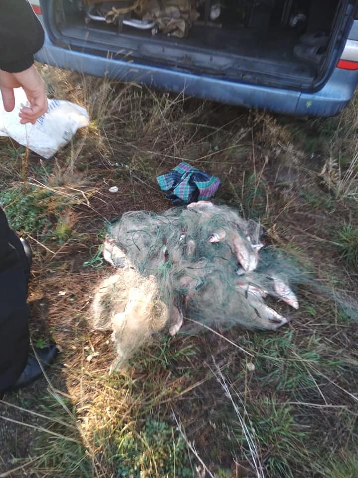 На Николаевщине браконьерили жители Кривого Рога – сетями выловили 37 кг рыбы 7
