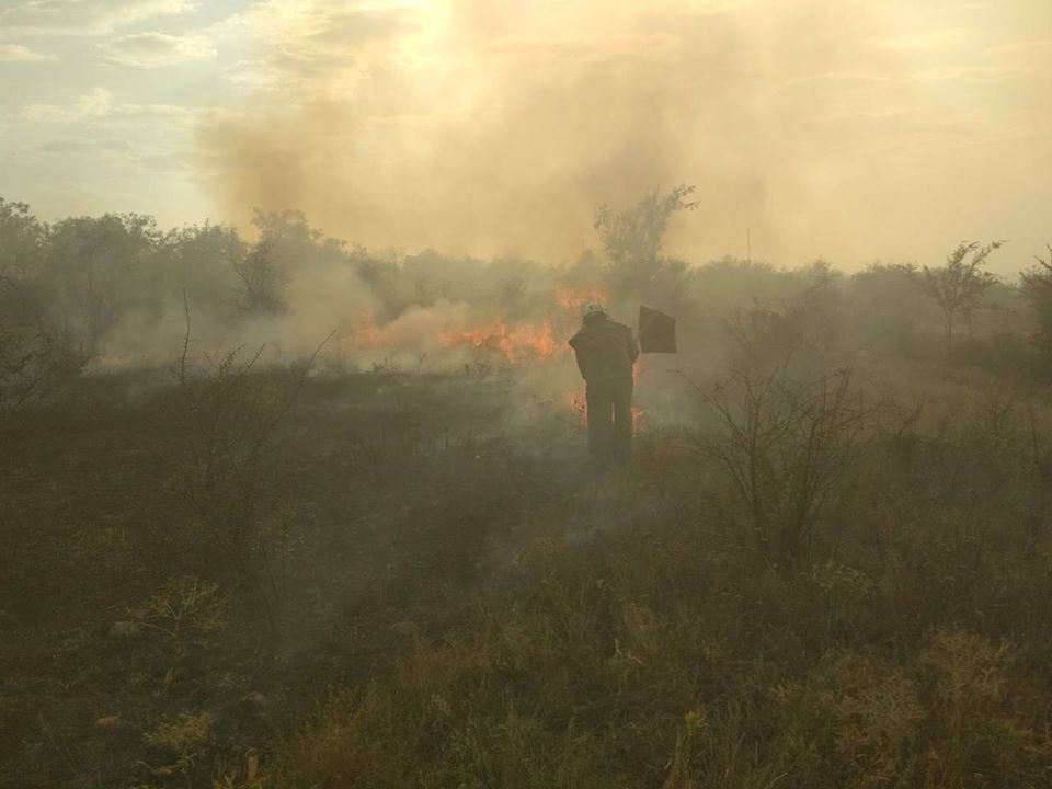 На Николаевщине за прошлую неделю было 8 пожаров в лесных урочищах, причем половина из них – в Матвеевском лесу 7