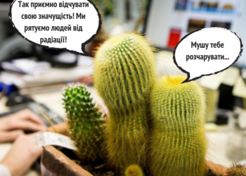 Супрун развеяла миф о кактусах возле компьютера