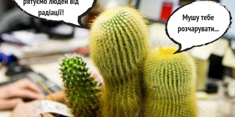 Супрун развеяла миф о кактусах возле компьютера
