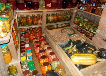 ТОП-5 продуктов, которые больше всего подешевели и подорожали