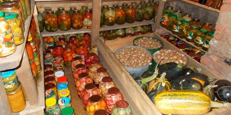 ТОП-5 продуктов, которые больше всего подешевели и подорожали