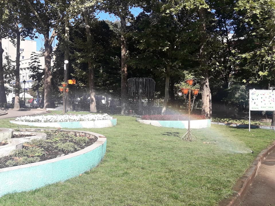 В детском городке «Сказка» появились вечнозеленые газоны с автоматизированной системой полива 3