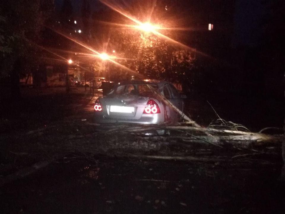 Непогода валила деревья на автомобили в Николаеве 1
