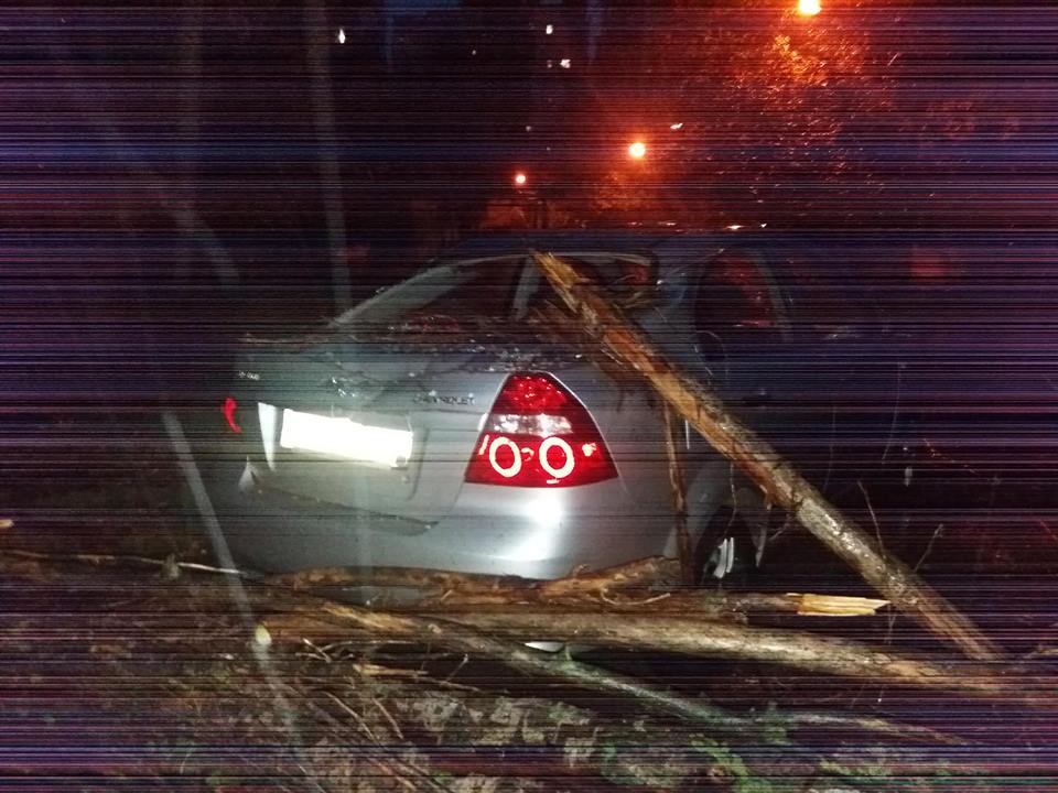Непогода валила деревья на автомобили в Николаеве 3