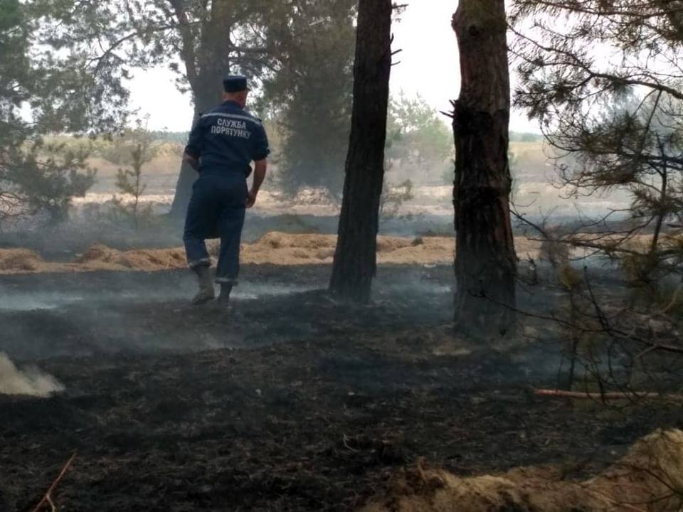 Масштабный пожар на Кинбурнской косе. Спасателям помогали местные добровольцы 5