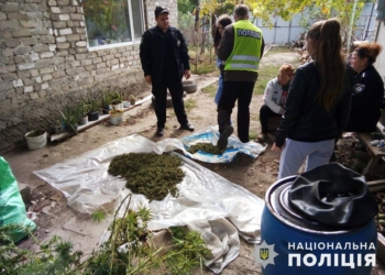 Запасы на зиму: в Новом Буге задержали женщину, которая “для себя” запасла 2 кг каннабиса
