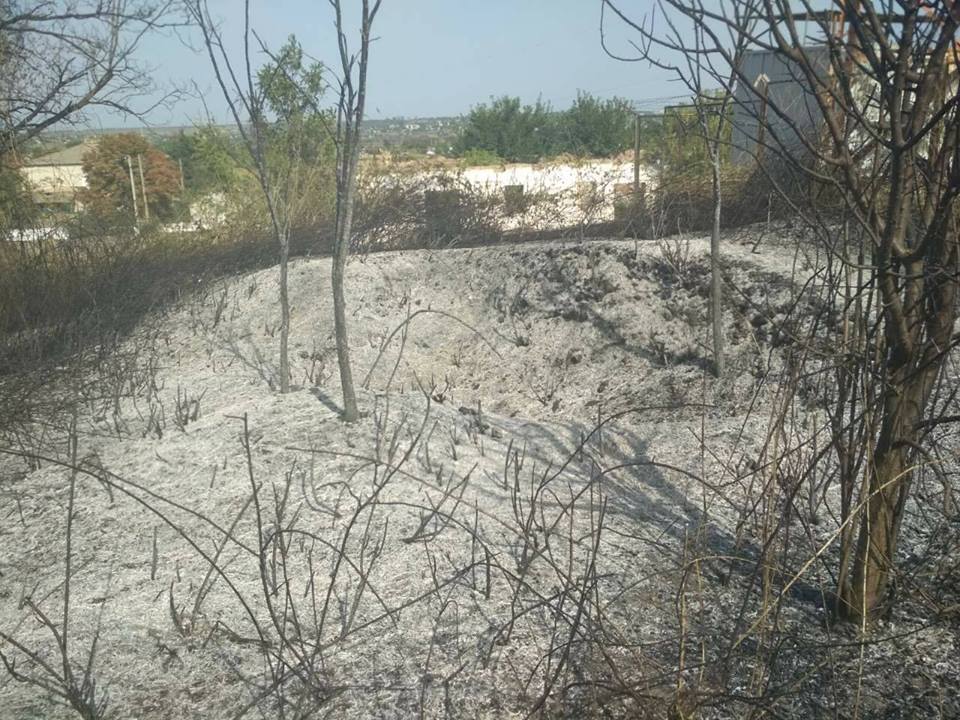 На Николаевщине за прошлую неделю было 8 пожаров в лесных урочищах, причем половина из них – в Матвеевском лесу 9