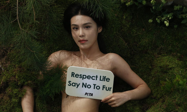 На Лондонской неделе моды в этом году впервые не будет меха