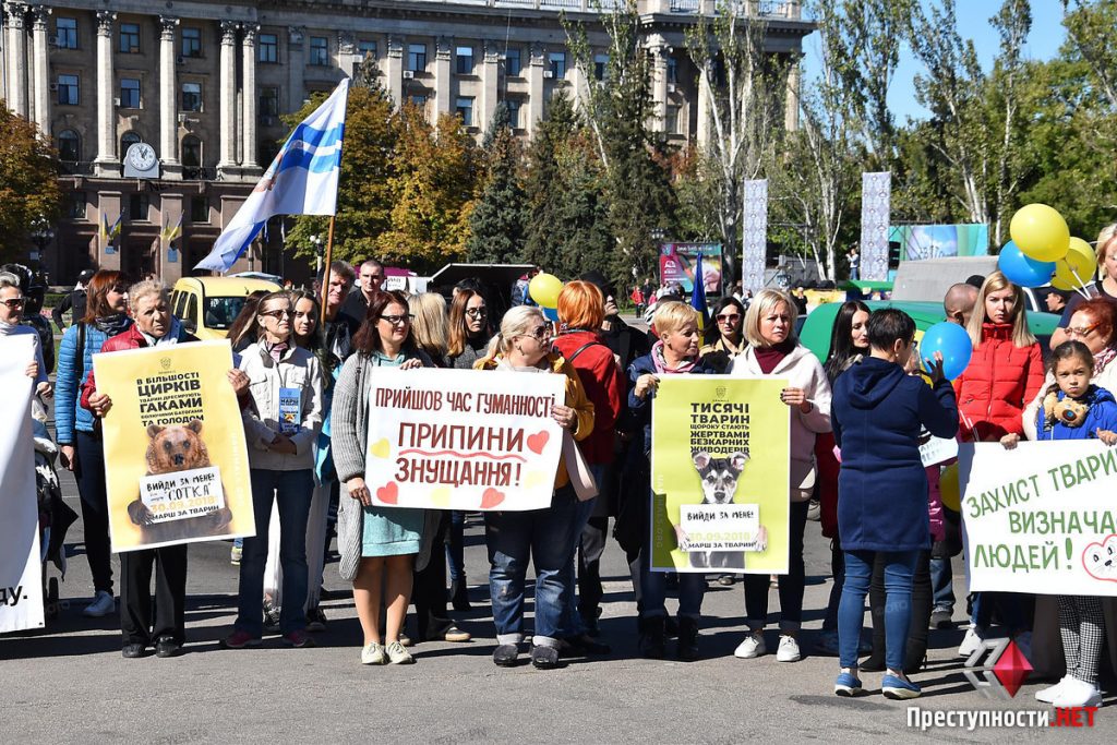 В Николаеве прошел очередной митинг зоозащитников против эвтаназии и за отстранение Голобродского 15