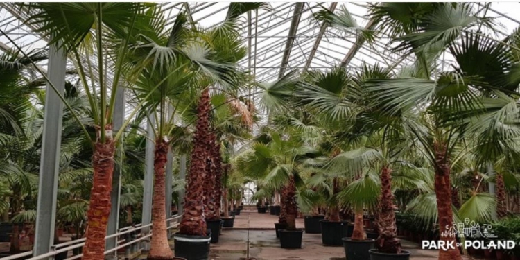 Откроют к лету. Польша строит крупнейший в Европе аквапарк