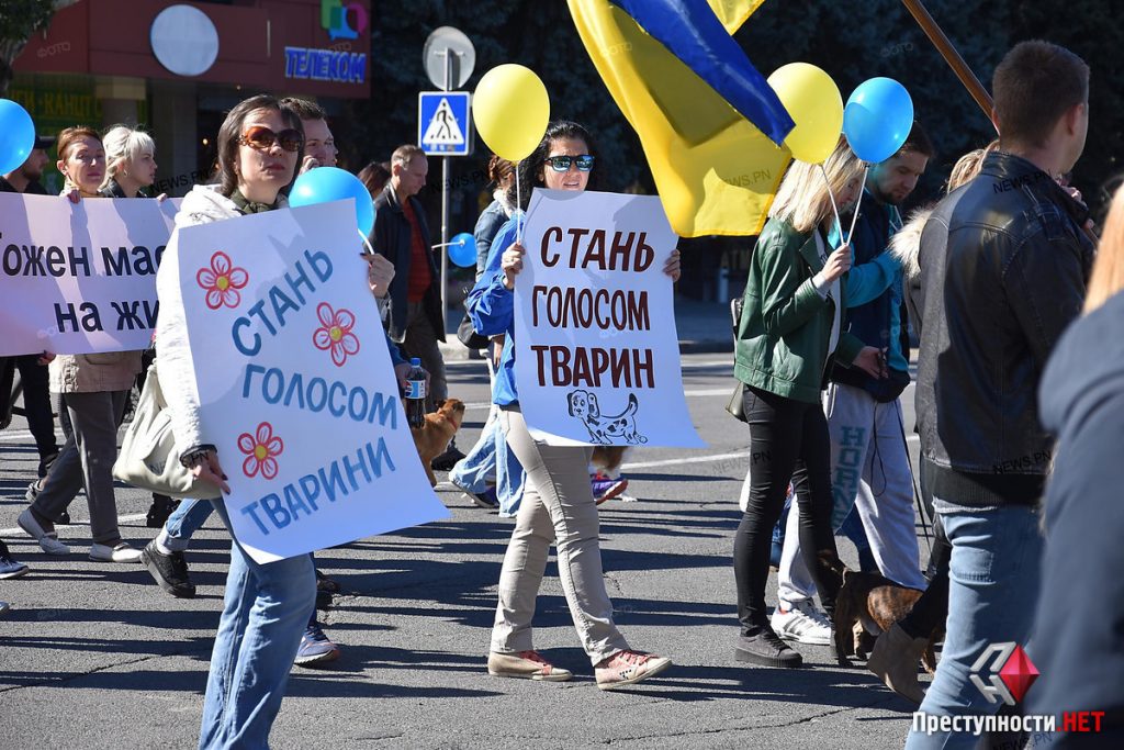 В Николаеве прошел очередной митинг зоозащитников против эвтаназии и за отстранение Голобродского 9