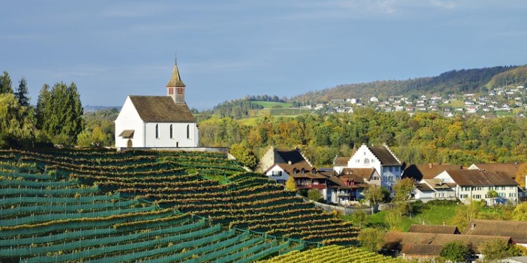 Швейцарская деревня согласилась протестировать на себе безусловный доход