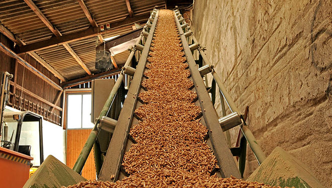 Биомасса – это не обидно, это выгодно