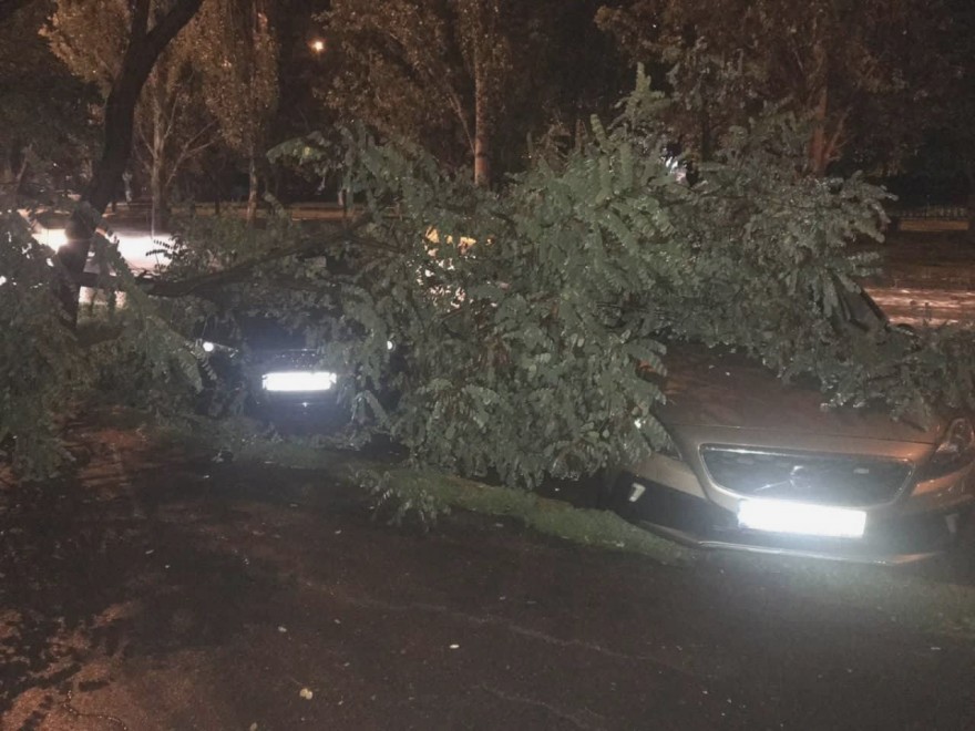 Непогода валила деревья на автомобили в Николаеве 7
