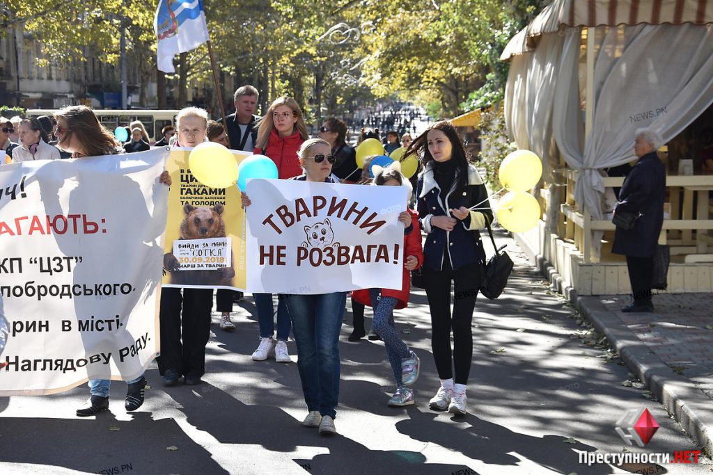 В Николаеве прошел очередной митинг зоозащитников против эвтаназии и за отстранение Голобродского 3