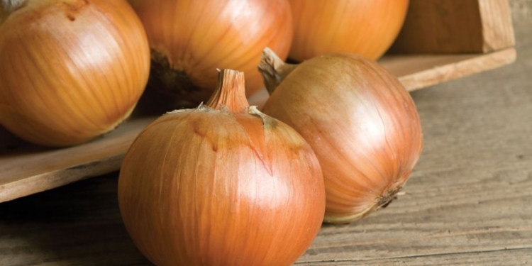 Лук подорожает – урожай не очень, а экспорт увеличился в 17 раз