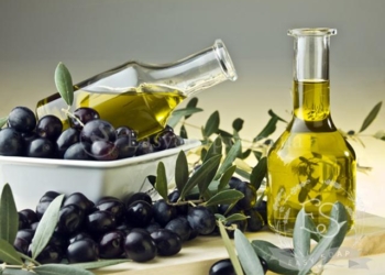 Климат уже позволяет. На Николаевщине можно выращивать оливки и производить оливковое масло