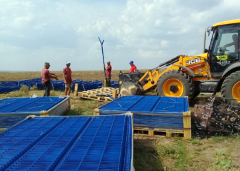 Канадцы построят солнечную электростанцию Vita Solar в Николаевской области