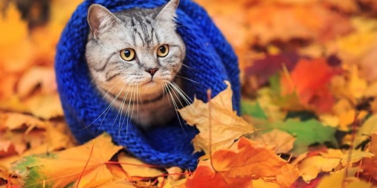 Завтра в Украине без осадков, температура до +26