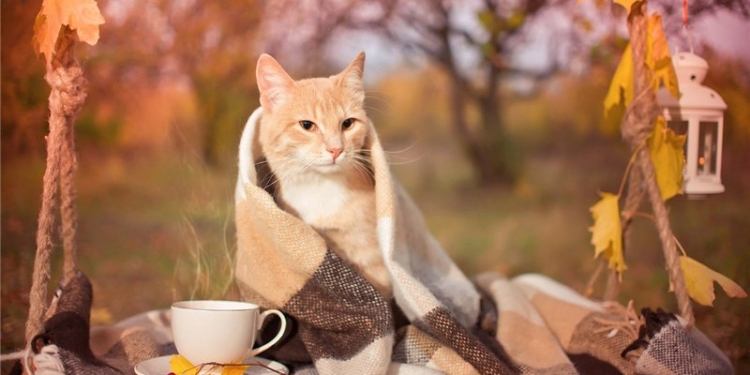 Завтра в Украине без осадков, температура до +26