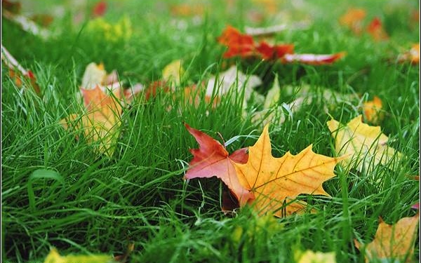 Прогноз Николаевского гидрометеоцентра: с воскресенья  похолодает