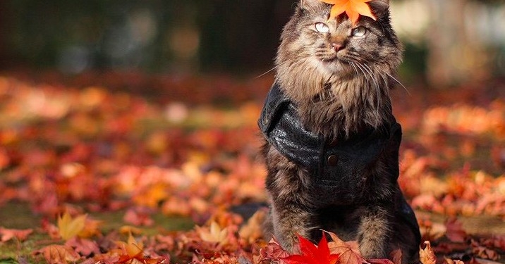 Завтра в Украине без осадков, температура до +26