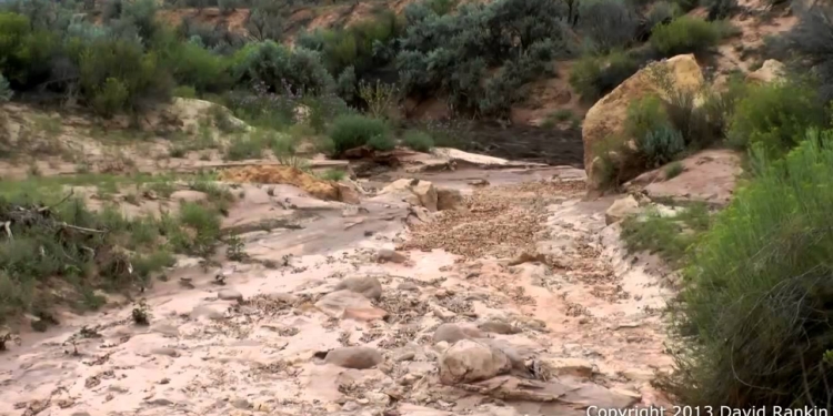 В Швейцари сняли видео, как селевой поток захлестывает жилые дома