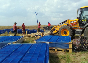 Канадские инвесторы начали строить электростанцию в Николаевской области