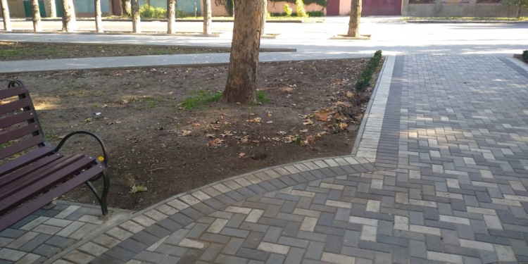 Варвары. В Николаеве разграбили сквер – выкопали 15 кустов самшита
