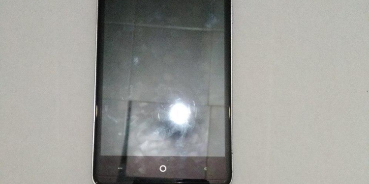 Жители Николаева 19-ти и 16-ти лет, «добывшие» с кастетом мобильный телефон, были пойманы полицией