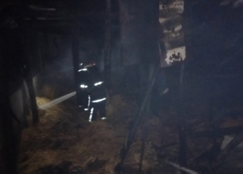 По разным причинам: на Николаевщине спасатели трижды тушили пожары в частном секторе