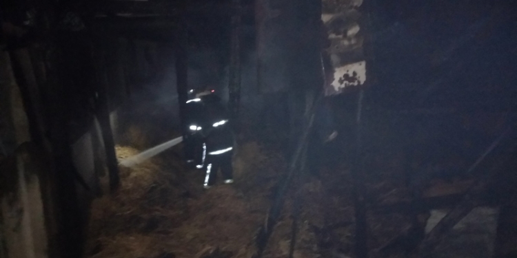 По разным причинам: на Николаевщине спасатели трижды тушили пожары в частном секторе