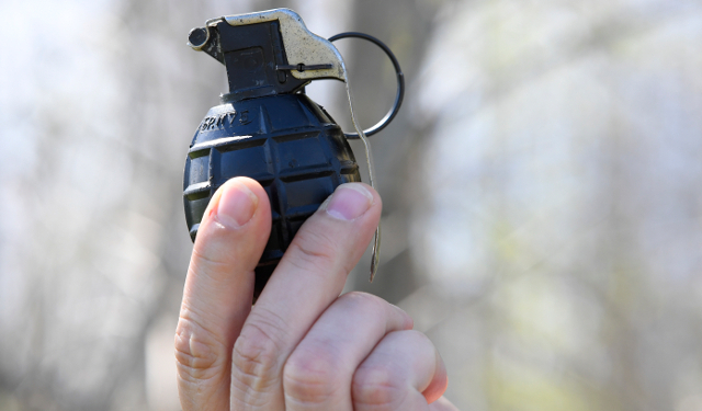 Впервые в истории Швеции гражданам предложили добровольно сдать гранаты