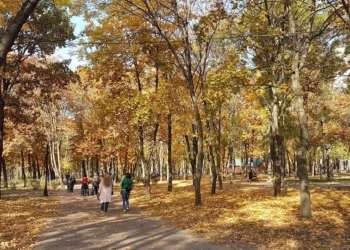 Теплые дни бабьего лета в Николаевской области завершаются