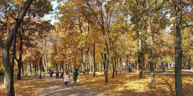 Теплые дни бабьего лета в Николаевской области завершаются