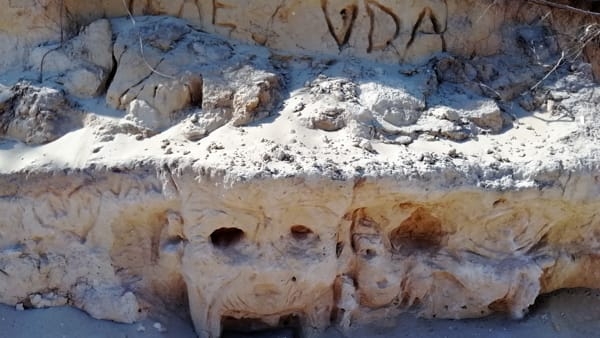 В Италии поймали вандала, нацарапавшего на дюнах Пунта Пенна Гросса рисунки. Но ущерб непоправим