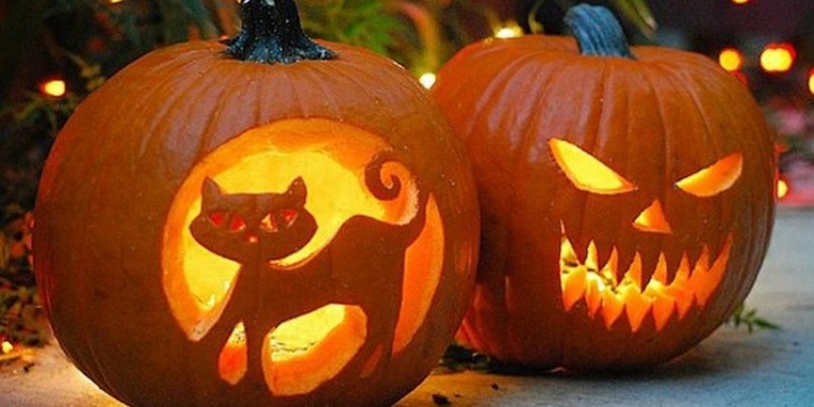 Где тут очумелые ручки? Николаевский зоопарк объявил конкурс на лучшее изделие из тыквы