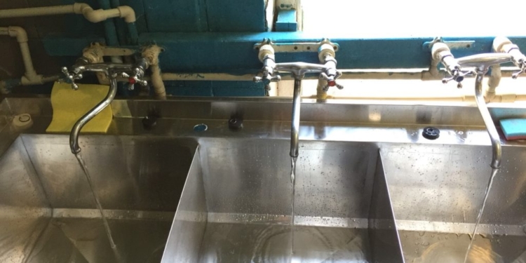 Еда в николаевской школе №1 им.О.Ольжича была с бактериями группы кишечной палочки