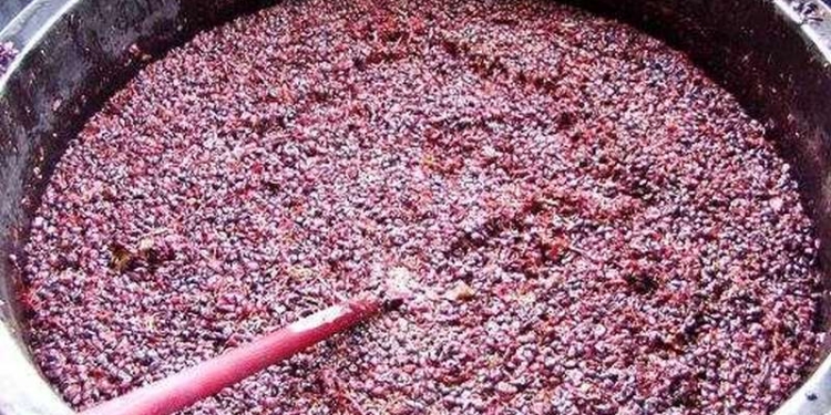 Он что-то знал? Чешский винодел погиб в чане для брожения винограда, незадолго до этого предсказав свою смерть