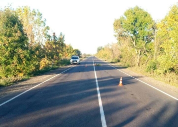 На Николаевщине ранним утром «Мерседес» насмерть сбил мужчину, а потом врезался в дерево. Водитель и пассажир авто – в больнице