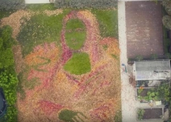 «Mona Leafa» – это почти что «Mona Lisa»: из опавших листьев можно создать произведение искусства