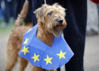 В Лондоне прошел “собачий” протест против Brexit