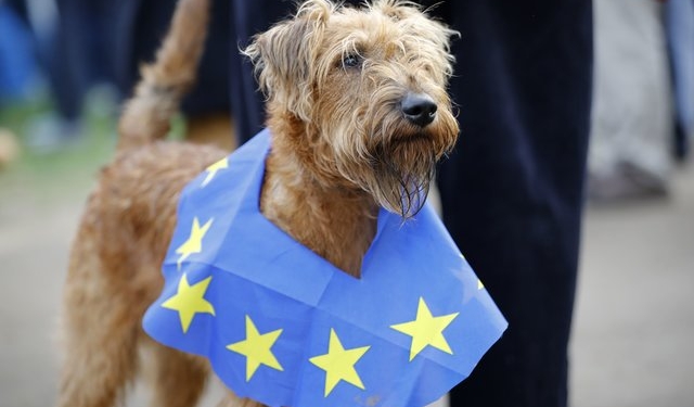 В Лондоне прошел “собачий” протест против Brexit