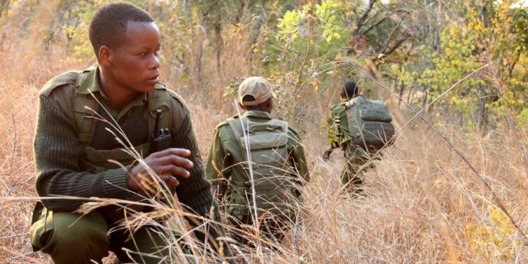 Австралийский спецназовец сколотил из африканских женщин отряд рейнджеров