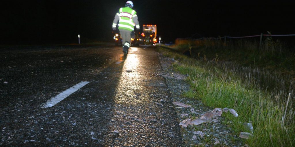 В Швеции из-за лося 100 метров дороги покрылись селедкой 1