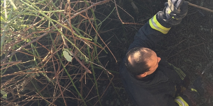 В Корабельном районе Николаева спасатели достали из трехметровой ямы корову